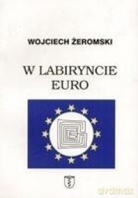 W labiryncie euro [KSIĄŻKA]