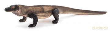 Waran z Komodo