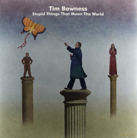 Tim Bowness: Stupid Things That [Winyl]