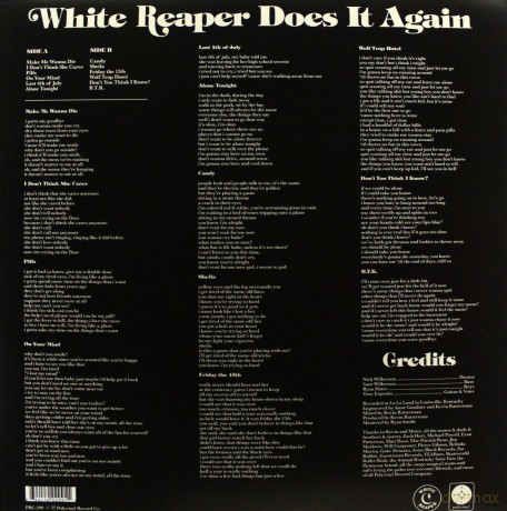 White Reaper: White Reaper Does It Again [Winyl]