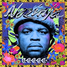 Nozinja: Nozinja Lodge [2xWinyl]