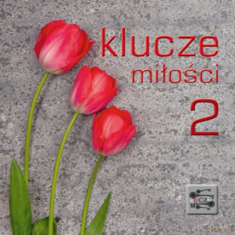 Klucze miłości. 2 klucze [KSIĄŻKA]