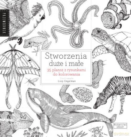 Stworzenia duże i małe. 35 plansz z rysunkami do kolorowania [KSIĄŻKA]