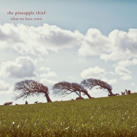 The Pineapple Thief: What We Have Sown [CD]
