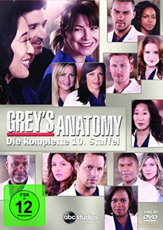 Grey's Anatomy Season 10 (Chirurdzy Sezon 10) [6DVD]