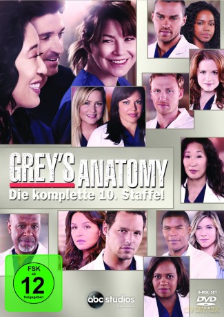 Grey's Anatomy Season 10 (Chirurdzy Sezon 10) [6DVD]