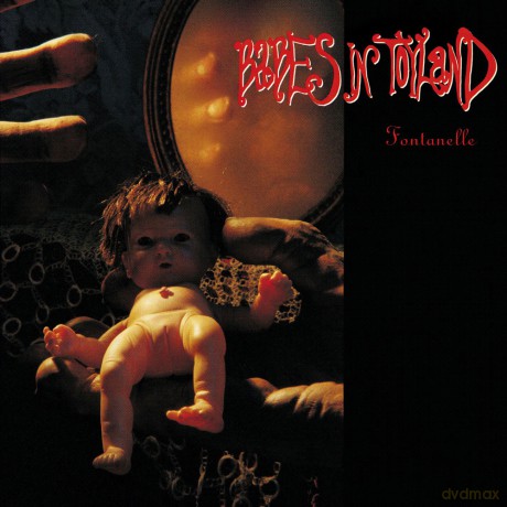Babes In Toyland: Fontanelle [Winyl]