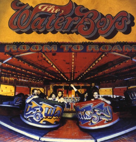 The Waterboys: Room To Roam [Winyl]
