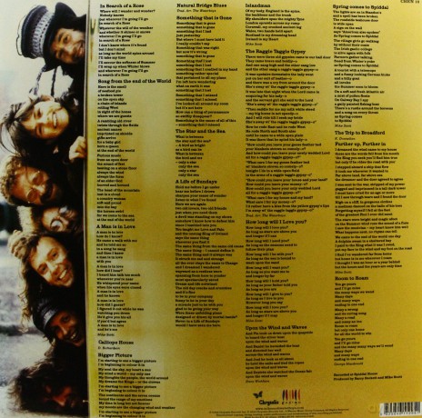 The Waterboys: Room To Roam [Winyl]