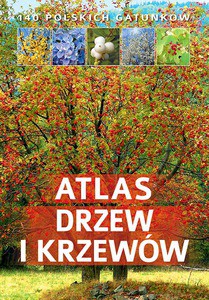 Atlas drzew i krzewów - Aleksandra Halarewicz (twarda) [KSIĄŻKA]