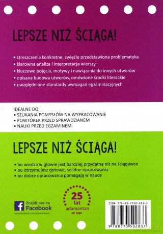 Lepsze niż ściąga. Język polski Gimnazjum cz. 2 [KSIĄŻKA]