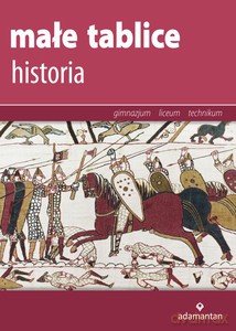 Małe tablice Historia [KSIĄŻKA]