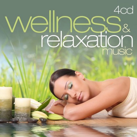 Wellness Dreams Orchestra: Wellness Relaxation Music (BOX)[4CD]