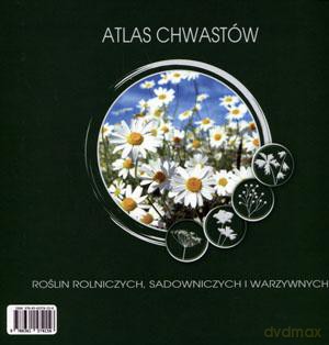 Atlas chwastów roślin rolniczych sadowniczych i warzywnych - Adam Paradowski (twarda) [KSIĄŻKA]