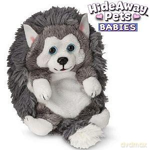 Hide Away Pets Babies Husky