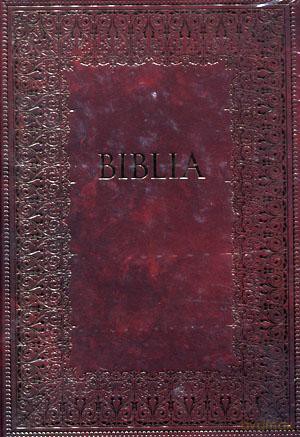 Biblia (twarda) [KSIĄŻKA]