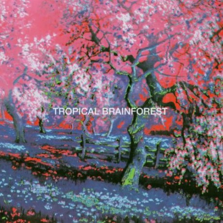 Percewood\'s Onagram: Tropical Brainforest [CD]