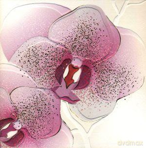 Duży karnet Orchidea