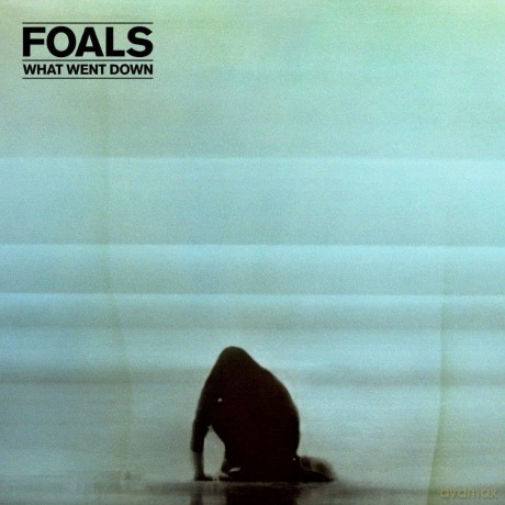 Foals: What Went Down [Winyl]