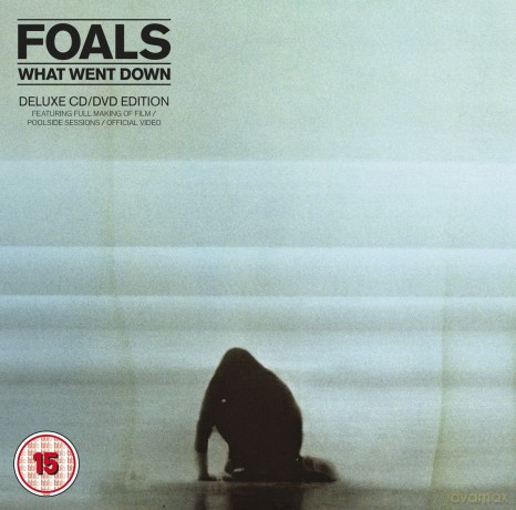 Foals: What Went Down [DVD]+[CD]