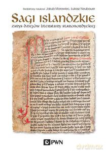 Sagi islandzkie. Zarys dziejów literatury staronordyckiej [KSIĄŻKA]