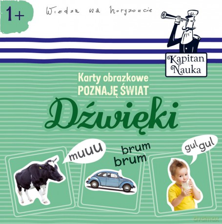 Dźwięki. Karty obrazkowe Poznaję Świat (twarda) [KSIĄŻKA]