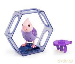 Digibirds seria 3 - zestaw ramka z ptaszkiem Melody