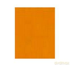 Karton kolorowy 220 g 70x100 cm marchewkowy