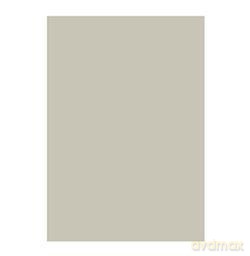 Karton kolorowy 50x70 cm srebrny
