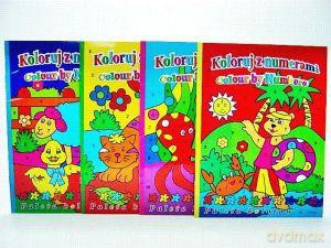 Koloruj z numerami. [KSIĄŻKA]