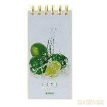 Kołonotatnik 8,5 x 17 cm Limonki