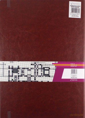Notes A4 w kratkę Formalizm brązowy