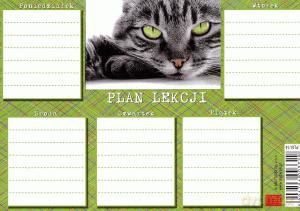 Plan lekcji naklejka