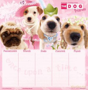 Plan lekcji The Dog