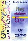 Plany miesięczne 5-latki. Luty-czerwiec. - Iwona Salach [KSIĄŻKA]