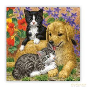 Serwetki Maki 33 x 33 cm Pies i kot