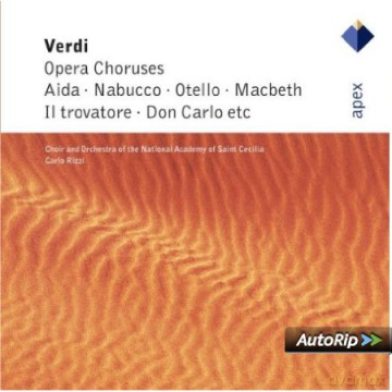 Rizzi/Chorus And Orchestra Of: Verdi: Va Pensiero-Famous Chorus [CD]