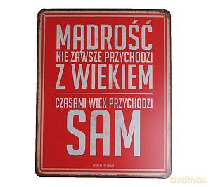 Tablica Vintage pionowa Mądrość