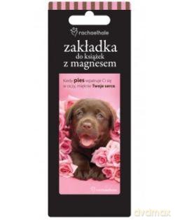 Zakładka magnetyczna