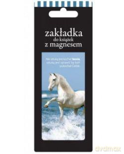 Zakładka magnetyczna
