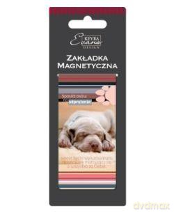 Zakładka magnetyczna