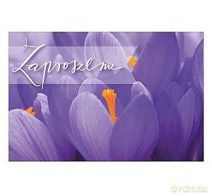 Zaproszenie