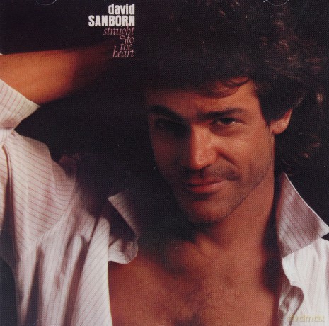 David Sanborn: Straight To The Heart [CD]