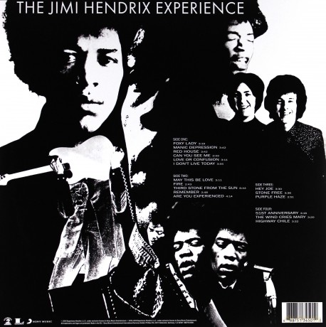 The Jimi Hendrix Experience: Are You Experienced [2xWinyl]