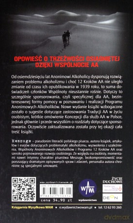 12 kroków od dna. Sponsorowanie [KSIĄŻKA]