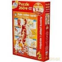 Było sobie życie - Mięśnie i układ kostny [PUZZLE]+[DVD]