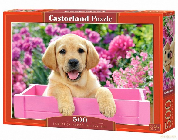 CASTRO 500 el.Labrador Puppy in Pink Box [PUZZLE]