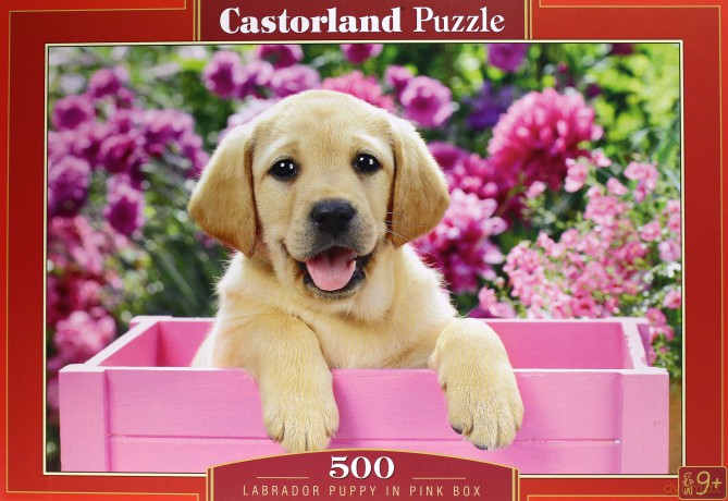 CASTRO 500 el.Labrador Puppy in Pink Box [PUZZLE]