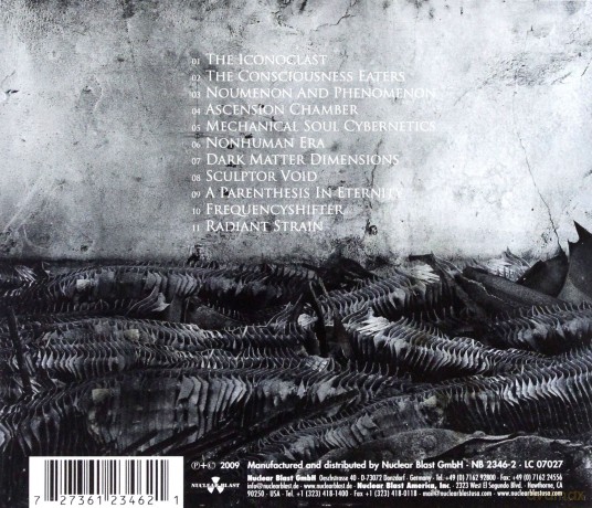 Scar Symmetry: Dark Matter Dimensions [CD]