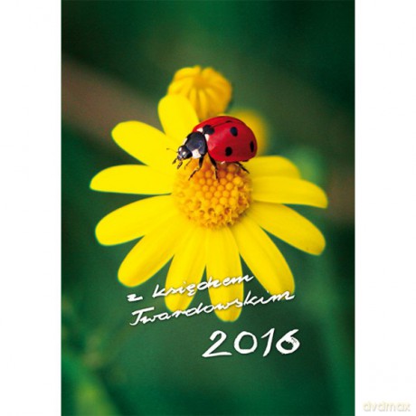 Kalendarz z ks.Twardowskim 2016 - Biedronka [KSIĄŻKA]